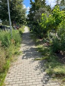 Foto: Verunkrautet/ ungepflegter WEG mit zuwuchernden Graben  